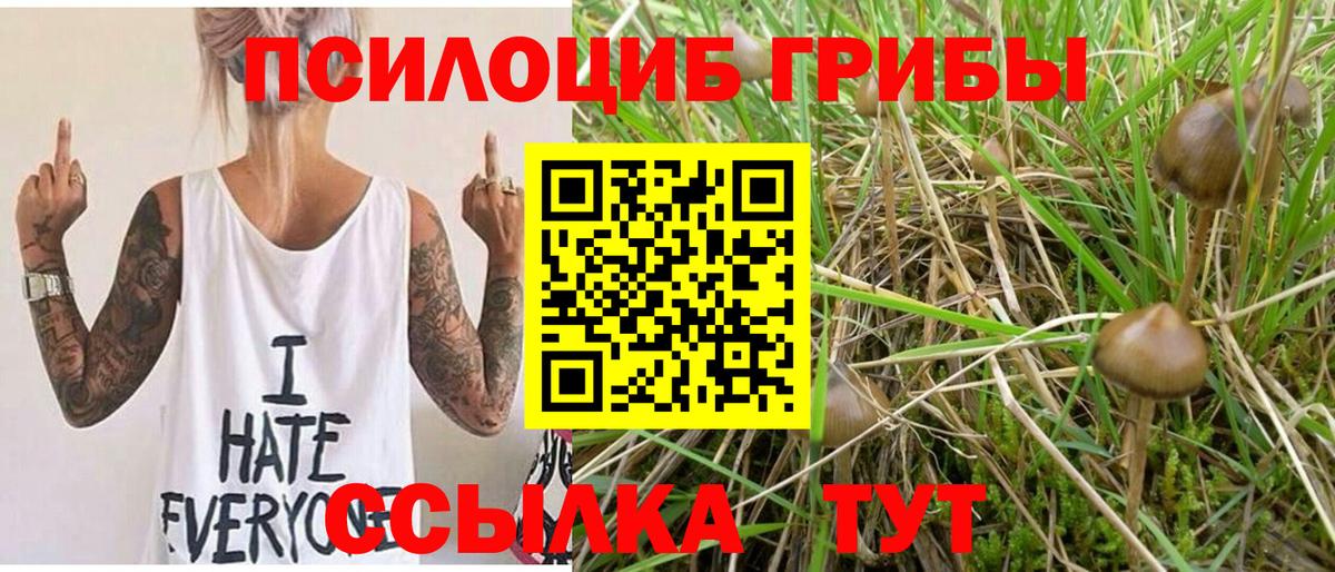 Галлюциногенные грибы Magic Shrooms  Вход с VPN  Кировск 